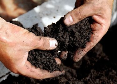 Как определить тип почвы на участке