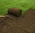 Как подготовить землю под газон